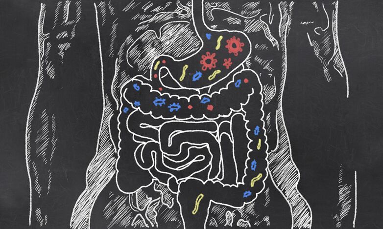 Parasites dans le tractus gastro-intestinal d'une personne
