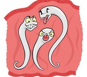 quels parasites peuvent vivre dans le corps humain